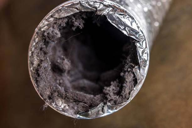 Best Air Duct Cleaning Near Me  in Westminster, CA