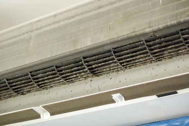 Best Professional Duct Cleaning Services  in Westminster, CA